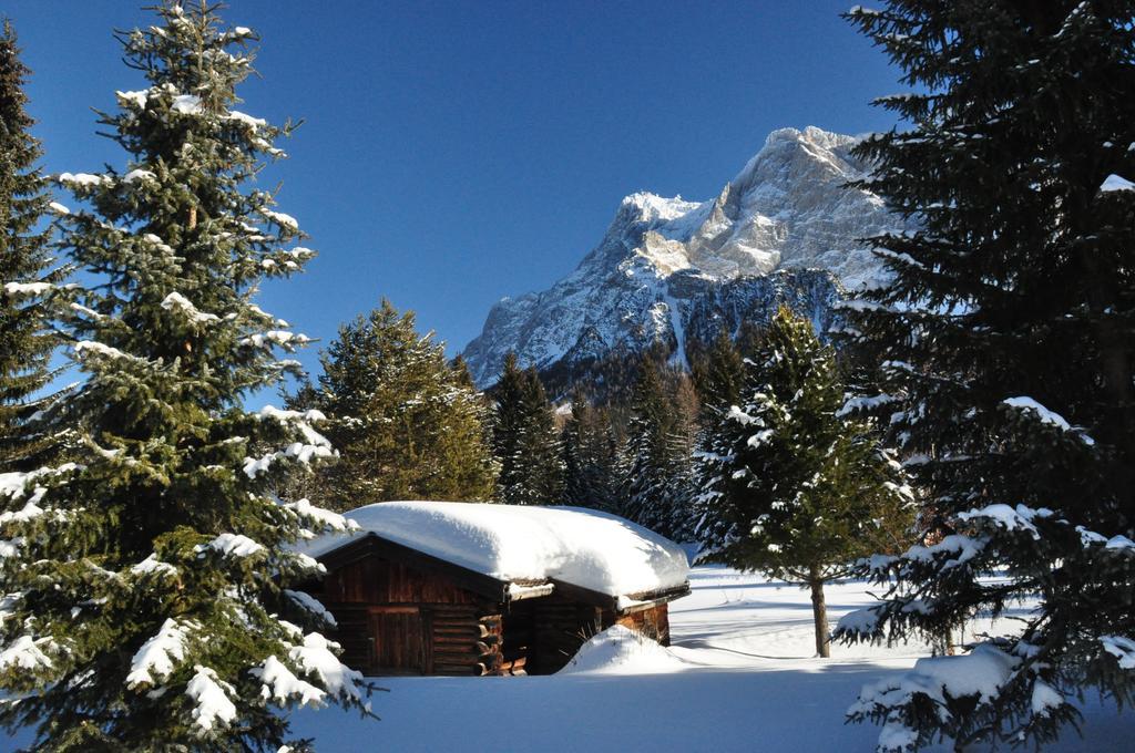 Hotel Alpen Residence Ehrwald Bagian luar foto