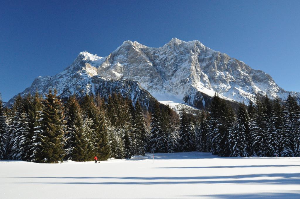 Hotel Alpen Residence Ehrwald Bagian luar foto